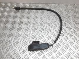 Renault Scenic RX Accelerator pedal position sensor 7700431916