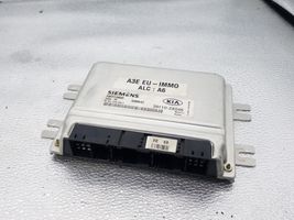 KIA Rio Unité de commande, module ECU de moteur 391102X046