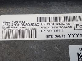 Ford Fiesta Блок управления двигателем ECU E2BA12A650SE