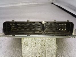 KIA Sorento Galios (ECU) modulis 391004A810