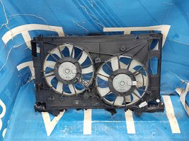 Lexus CT 200H Elektrinis radiatorių ventiliatorius 1002222680
