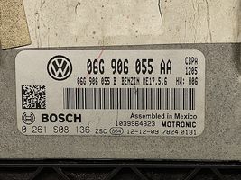 Volkswagen Jetta VI Unité de commande, module ECU de moteur 06G906055AA