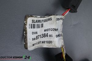 Citroen C3 Picasso Sensore 9687138480