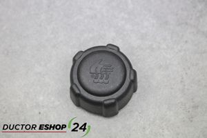 Nissan Leaf I (ZE0) Serbatoio di compensazione del liquido refrigerante/coperchio 