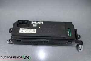 Hyundai i20 (PB PBT) Monitori/näyttö/pieni näyttö 941021J081