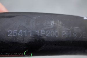 Hyundai ix20 Altra parte del vano motore 254111P200