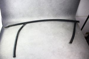 Ford Fusion II Rubber seal front coupe door 