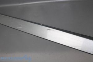 Honda Civic IX Rivestimento della portiera anteriore (modanatura) 