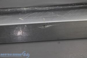 Honda Civic IX Rivestimento della portiera anteriore (modanatura) 