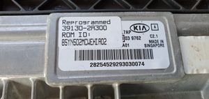 KIA Venga Calculateur moteur ECU 