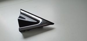 Hyundai Santa Fe Front door glass trim molding 