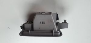 Hyundai Santa Fe Rear door interior light 