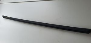 Hyundai Ioniq Rubber seal front door window/glass 