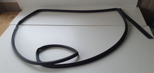 Hyundai Ioniq Rubber seal rear door 