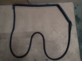 Toyota Avensis T270 Rubber seal rear door 