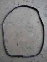 Ford S-MAX Front door rubber seal 