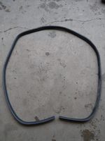 Ford S-MAX Front door rubber seal 