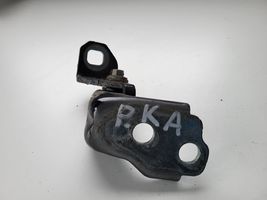 Ford Kuga II Front door lower hinge 