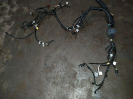 Toyota Avensis T270 Autres faisceaux de câbles 