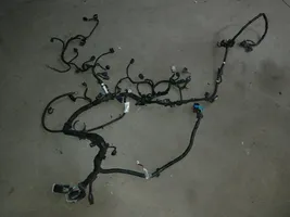 Ford Focus Engine installation wiring loom 