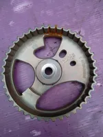 Peugeot Expert Crankshaft gear 