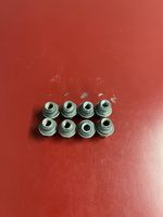 Chrysler Pacifica Nuts/bolts 40mm 