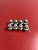 Chrysler Pacifica Nuts/bolts 40mm 