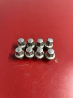 Chrysler Pacifica Nuts/bolts 40mm