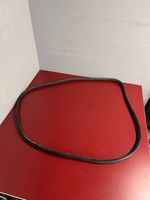 BMW X3 F25 Front door rubber seal 