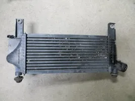 Nissan Pathfinder R51 Radiateur de refroidissement 