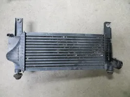 Nissan Pathfinder R51 Dzesēšanas šķidruma radiators 