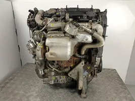 Lancia Phedra Motor 4H01