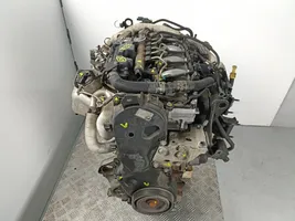 Lancia Phedra Motor 4H01