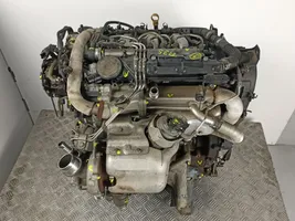Lancia Phedra Motor 4H01