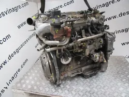 Nissan Almera N16 Moottori D22