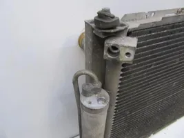 Nissan Micra C+C Radiatore del carburatore (radiatore) 921009U20B