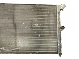 Ford Galaxy Radiatore del carburatore (radiatore) 95VW8005AB