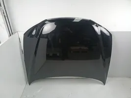 Hyundai Sonata Pokrywa przednia / Maska silnika 664003K010