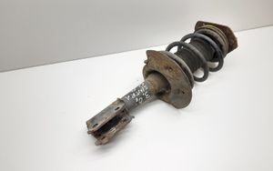 Opel Sintra Front shock absorber with coil spring 