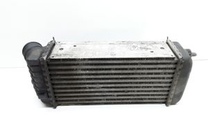 Peugeot 206 Chłodnica powietrza doładowującego / Intercooler 96484027