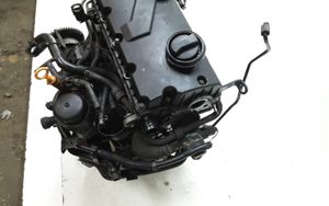 Volkswagen PASSAT B5.5 Silnik / Komplet 038103373R