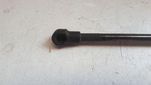 Volvo S40, V40 Ammortizzatore portellone anteriore/cofano 30819865