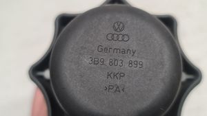 Volkswagen PASSAT B5 Stiprinājuma skrūve (rezerves ritenis) 3B9803899