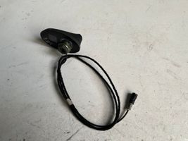 Peugeot 207 Antenna autoradio 9651423580