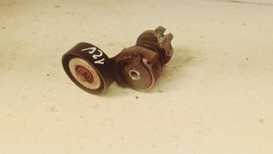 Volkswagen Fox Alternator belt tensioner 03E903133