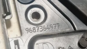 Citroen C4 II Listwa / Uszczelka szyby drzwi przednich 9687364977