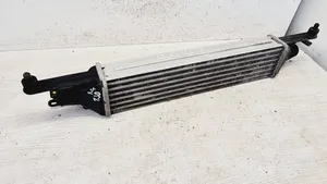 Fiat Punto (188) Chłodnica powietrza doładowującego / Intercooler 8A0050000