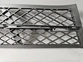 BMW 5 F10 F11 Grille inférieure de pare-chocs avant 7200698