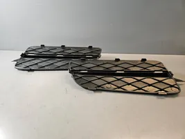 BMW X5 E70 Grille inférieure de pare-chocs avant 7159593