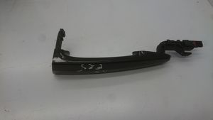 BMW X3 F25 Manecilla externa puerta delantera 7259413